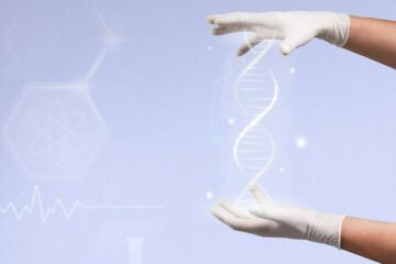 শ্রেণিবিন্যাসের অনুক্রম কী? শ্রেণিবিন্যাসের বিভিন্ন প্রকার আলোচনা কর।