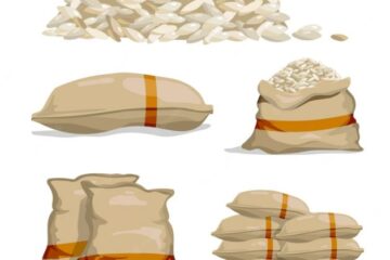 ভারতে খাদ্য শস্য সঞ্চয় ও ব্যবস্থাপনা