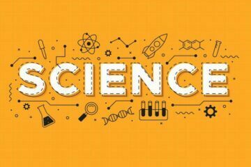 উপসর্গ কি ? উদাহরণ সহ ব্যাখ্যা কর।