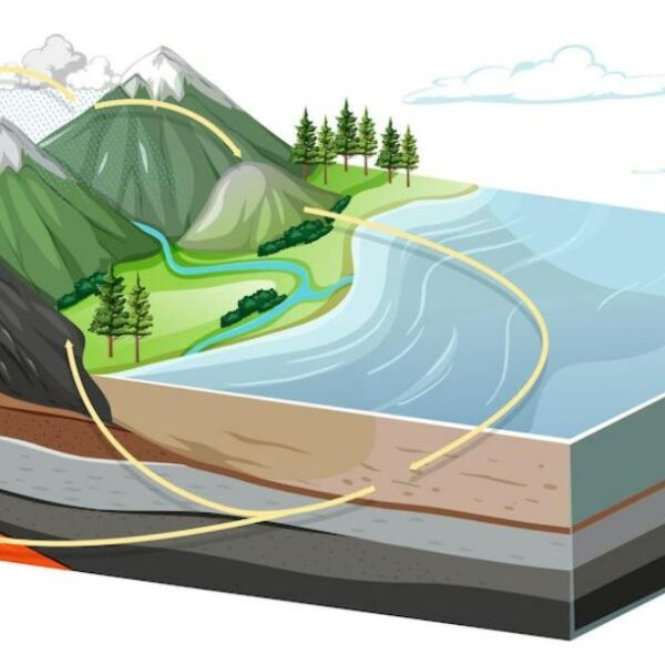 মডেল অ্যাক্টিভিটি টাস্ক Class 7 পরিবেশ ও ভূগোল