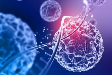 ভাইরাস কি? তাদের গঠন আলোচনা?