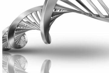 দ্বিপদ নামকরণ ও এর নিয়ম ব্যাখ্যা কর? এর গুরুত্ব আলোচনা কর।