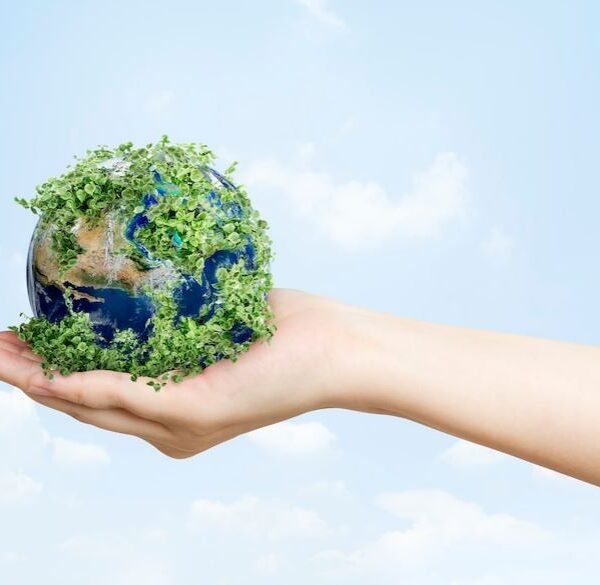 মডেল অ্যাক্টিভিটি টাস্ক ভূগোল দশম শ্রেণি পাঠ 2