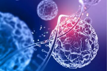 জীববৈচিত্র্য কি? এর গুরুত্ব লেখো।