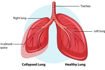 মডেল অ্যাক্টিভিটি টাস্ক জীবন বিজ্ঞান দশম শ্রেণি পাঠ 2 প্রশ্নোত্তর