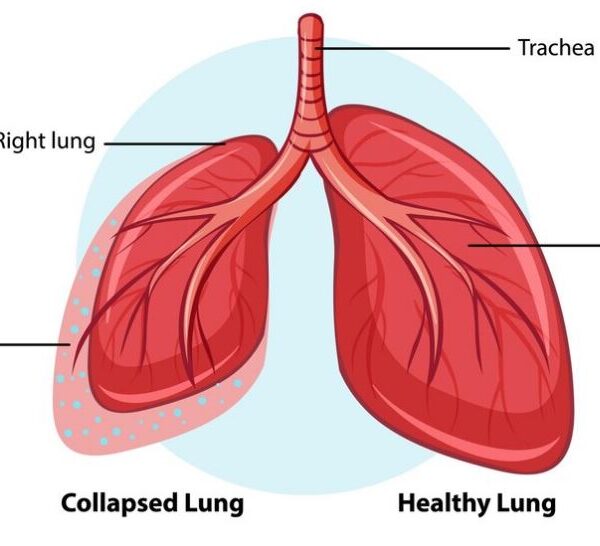 টেনের জীবন বিজ্ঞান
