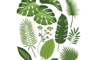 সপ্তম শ্রেণীর পরিবেশ ও বিজ্ঞান প্রশ্ন উত্তর