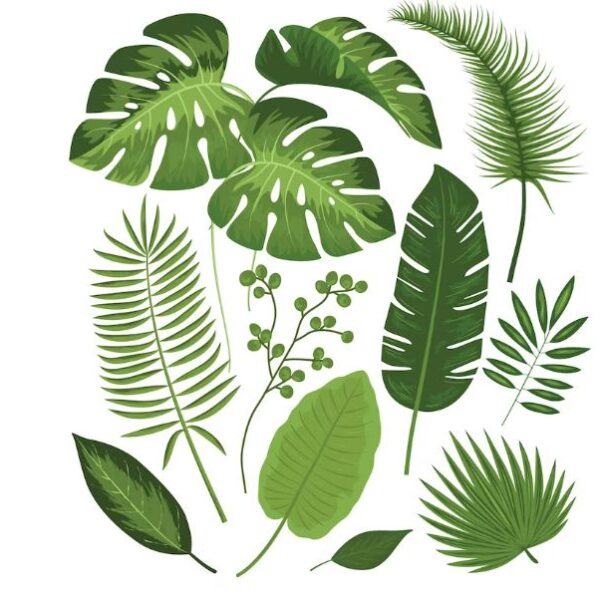 সপ্তম শ্রেণীর পরিবেশ ও বিজ্ঞান প্রশ্ন উত্তর