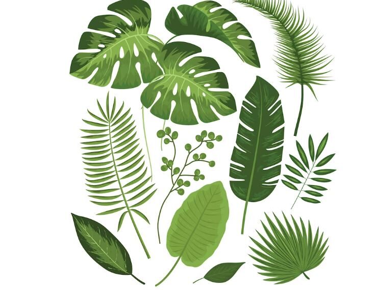 সপ্তম শ্রেণীর পরিবেশ ও বিজ্ঞান প্রশ্ন উত্তর