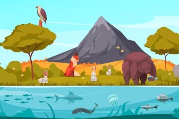 Model Activity Task Class 8 Part 8 Geography