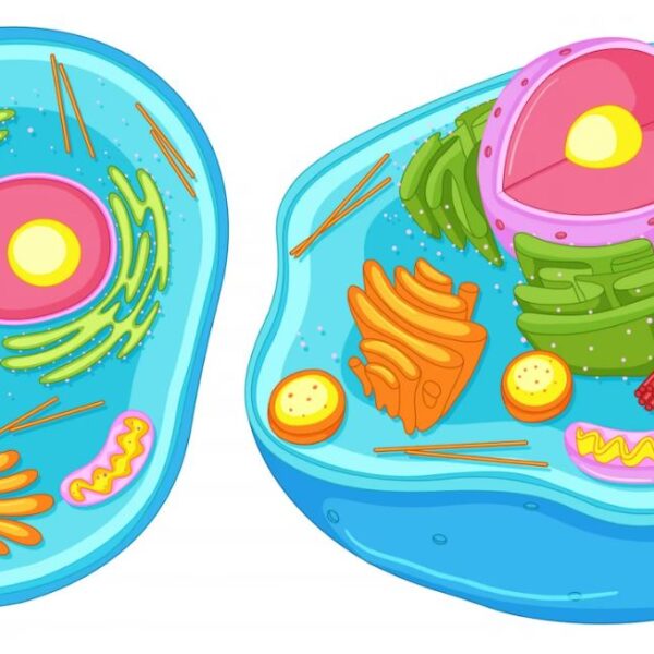 Model Activity Task Class 9 Life Science Part 8 | মডেল অ্যাক্টিভিটি টাস্ক 2023