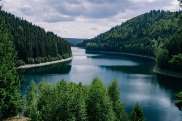 Model Activity Task Class 6 পরিবেশ ও বিজ্ঞান