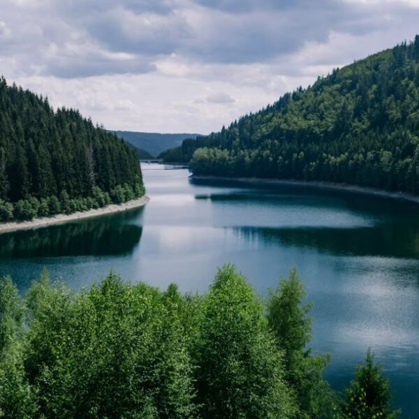 Model Activity Task Class 6 পরিবেশ ও বিজ্ঞান | ষষ্ঠ শ্রেণির এসাইনমেন্ট বিজ্ঞান