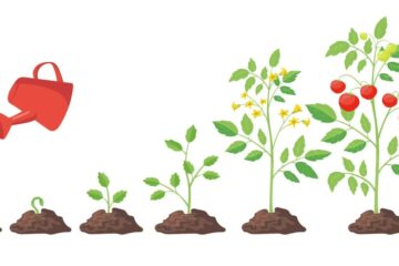 Class 8 Science Chapter 1 | মডেল অ্যাক্টিভিটি টাস্ক Class 8 পরিবেশ ও বিজ্ঞান Part 1