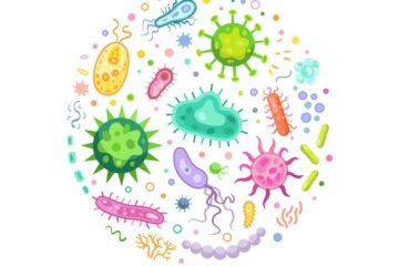 Model Activity Task Class 8 | মডেল অ্যাক্টিভিটি টাস্ক Class 8