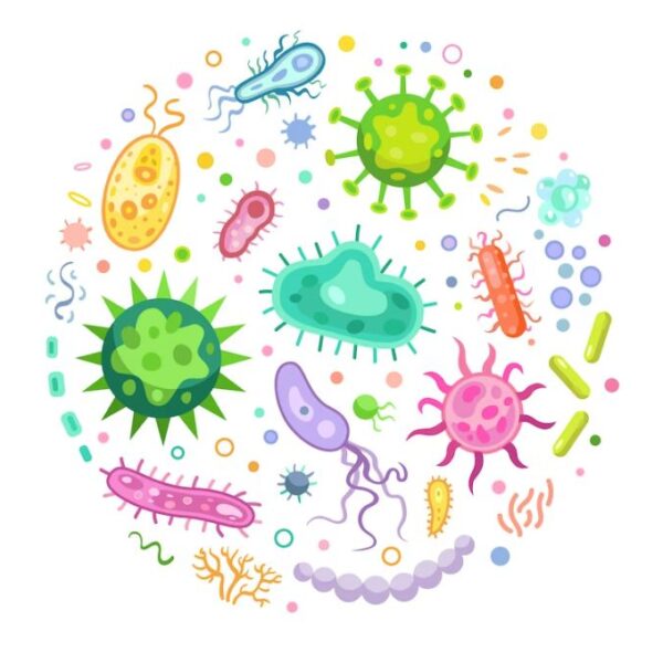 Model Activity Task Class 8 | মডেল অ্যাক্টিভিটি টাস্ক Class 8