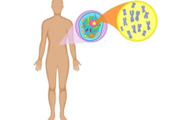 অষ্টম শ্রেণির এসাইনমেন্ট বিজ্ঞান