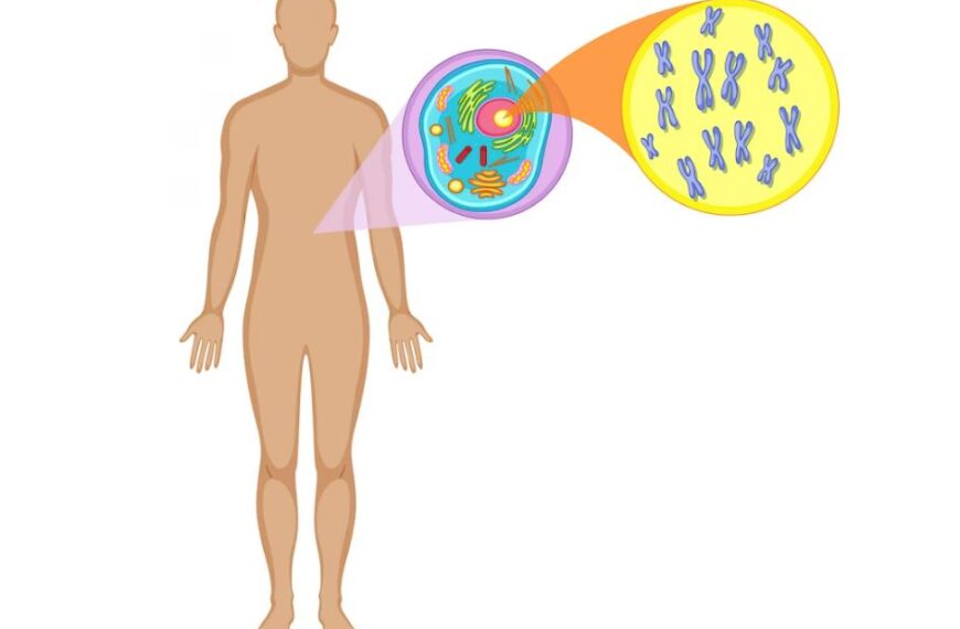 অষ্টম শ্রেণির এসাইনমেন্ট বিজ্ঞান