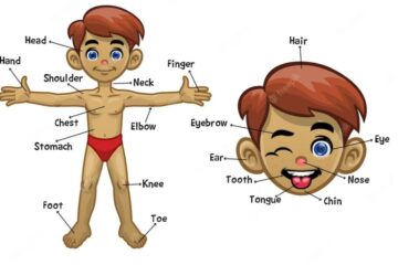 মডেল অ্যাক্টিভিটি টাস্ক স্বাস্থ্য ও শারীর শিক্ষা