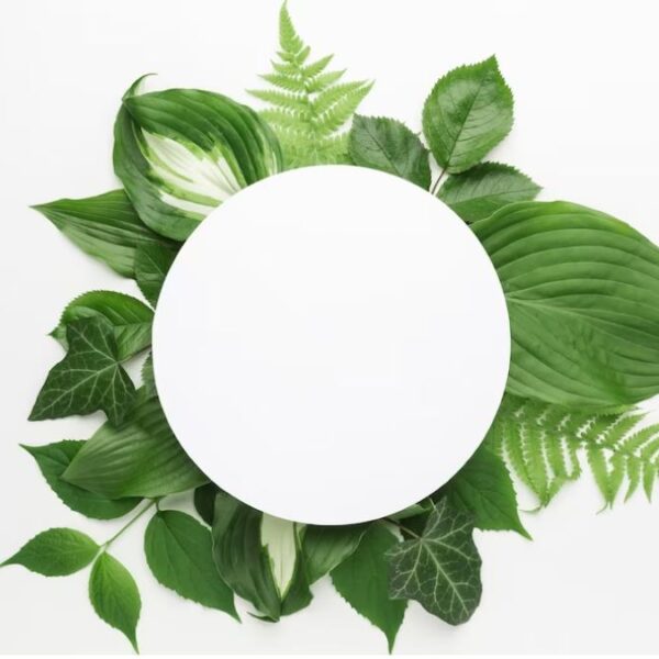 মডেল অ্যাক্টিভিটি টাস্ক Class 7 পরিবেশ ও বিজ্ঞান পাট 3