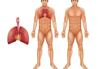 মডেল অ্যাক্টিভিটি টাস্ক Class 5 স্বাস্থ্য ও শারীরশিক্ষা