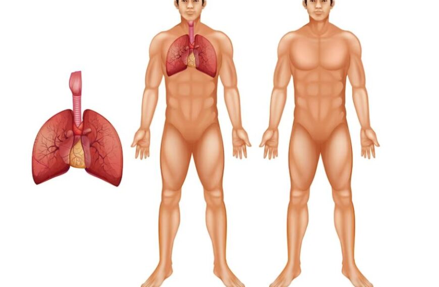 মডেল অ্যাক্টিভিটি টাস্ক Class 5 স্বাস্থ্য ও শারীরশিক্ষা