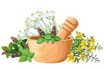 ইউরিক অ্যাসিড, হার্নিয়া, মাথা ব্যাথা রোগের ঘরোয়া চিকিৎসা