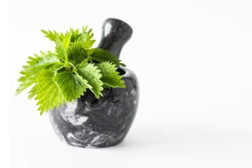 মডেল অ্যাক্টিভিটি | গাছের পাতা উপকারিতা