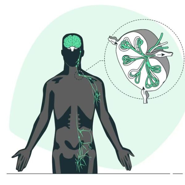 মডেল অ্যাক্টিভিটি টাস্ক পরিবেশ ও বিজ্ঞান ক্লাস 6
