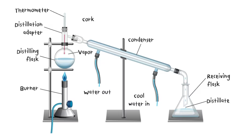 ব্যাপন কাকে বলে