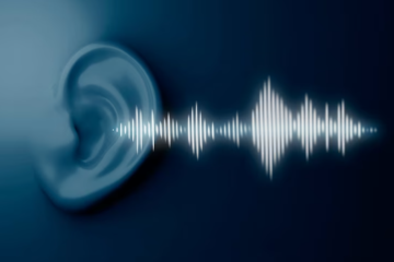 ধ্বনি কাকে বলে