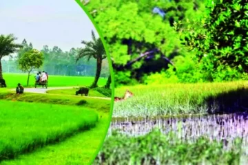 প্রাকৃতিক পরিবেশ কাকে বলে, প্রাকৃতিক পরিবেশের উপাদান গুলো কি কি