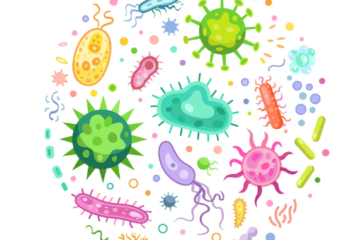 জীব কাকে বলে, জড় কাকে বলে, জীব বিজ্ঞানের জনক কে, জীব ও জড়ের পার্থক্য