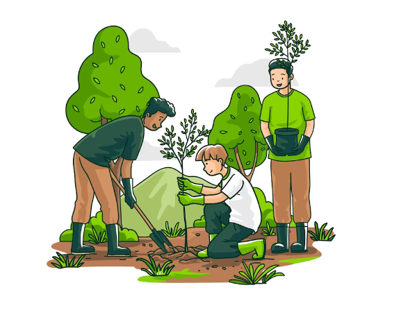 বনসৃজন কাকে বলে, সামাজিক বনসৃজন কাকে বলে, কৃষি বনসৃজন কাকে বলে