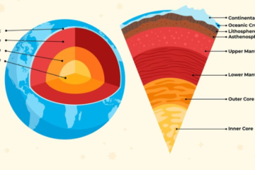 ভূত্বক কাকে বলে, মহাদেশীয় ভূত্বক কোন শিলা দ্বারা গঠিত, ভূত্বকের গড় গভীরতা কত