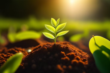 মৃত্তিকা কাকে বলে, মৃত্তিকা সংরক্ষণ কাকে বলে, মৃত্তিকা ক্ষয়ের কারণ গুলি লেখ