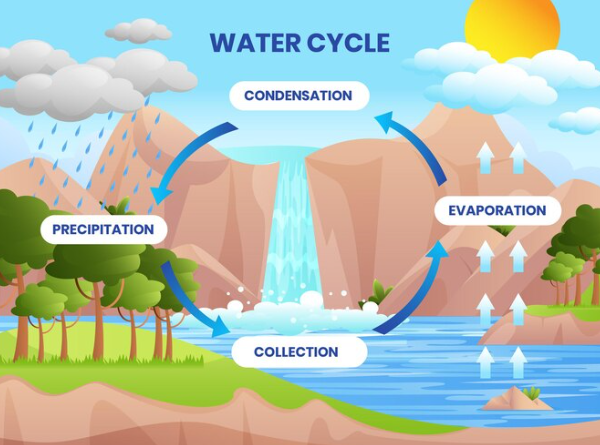 জলচক্র কাকে বলে, জলচক্র চিত্র, জলচক্রের গুরুত্ব