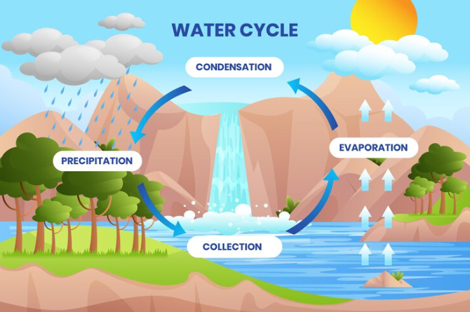 জলচক্র কাকে বলে, জলচক্র চিত্র, জলচক্রের গুরুত্ব