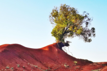 রেগোলিথ কি, রেগোলিথ কাকে বলে, রেগোলিথ ও মৃত্তিকার তফাৎ কী