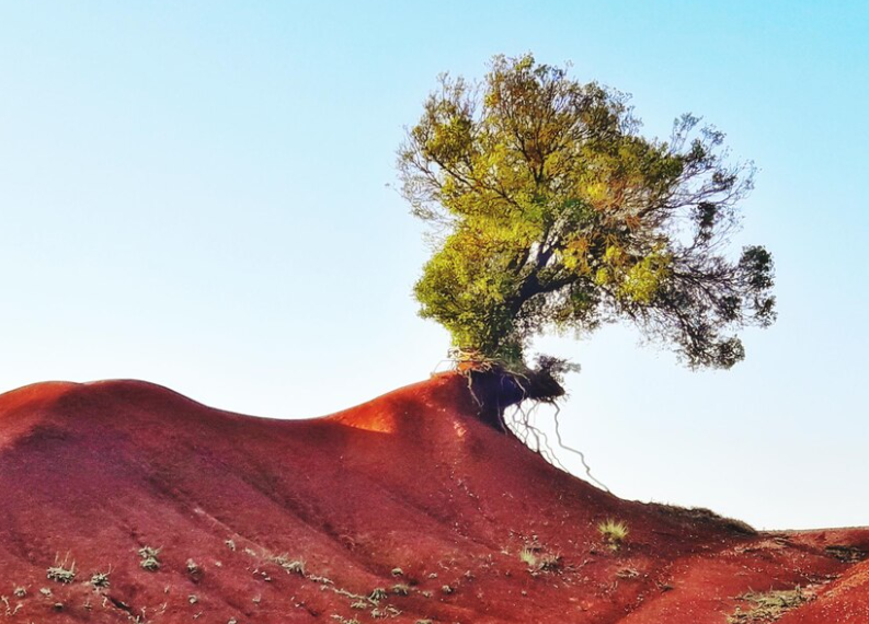 রেগোলিথ কি, রেগোলিথ কাকে বলে, রেগোলিথ ও মৃত্তিকার তফাৎ কী